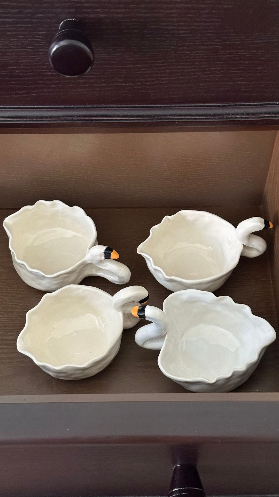 وعاء بجع 