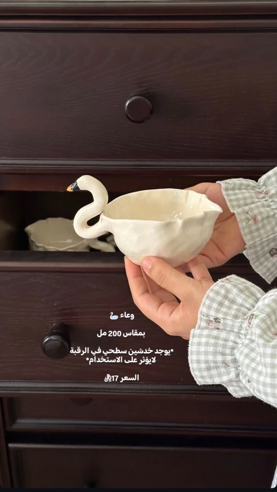 وعاء البجع